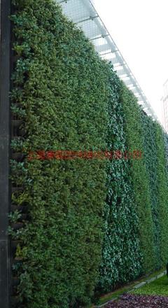 上海康馨園林 專業綠化工程養護與施工，打造城市立體生態空間